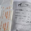 다우동물병원 | 강아지 피부염 알레르기 증상 ft. 동물병원 비용 및 진단 후기