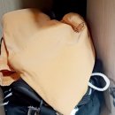 월드컵사우나 이미지