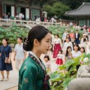 개화펜션 | 통도사 우담바라의 의미와 개화 시기, 방문 시 주차 팁 및 관람 포인트 총정리