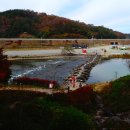 (주)동양여행사 - 의성군 | (주)동양여행사