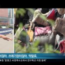 나무노트 이미지