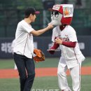 사인엘 이미지