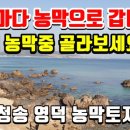 양덕2농장 이미지
