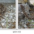 벌등공원 티스토리