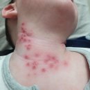 남해-284 | 유기농흑마늘진액 주변추천많은 건강아이음료