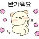 시흥탑애견미용학원 네이버블로그