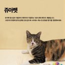 냥냥펀치 이미지