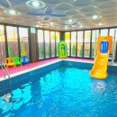 레드앤풀 이미지