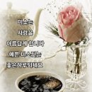 다님 이미지