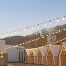 포레스트가든 이미지