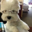 대륙사우나 | 중국 제남 가족 여행 힐튼 지난 사우스 호텔 후기