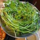 골목삼겹 | 대구장기동먹자골목맛집 진빼이삼겹막창 미나리삼겹살 솔직 후기