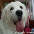 도움농장 이미지