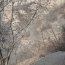 천진마을 이미지