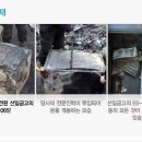 선일유통 이미지