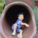 재영약국 티스토리