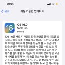 롬헤어 이미지