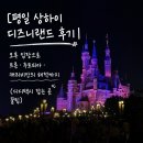 평일 상하이 디즈니랜드 후기｜오후 입장으로 트론·주토피아·캐리비안의 해적까지 (디디택시 잡는...