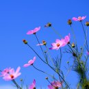 아름다운 당구클럽 이미지