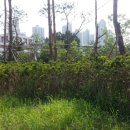 다솔초등학교 이미지