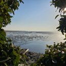 하단동232 이미지