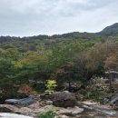 월교농장 이미지