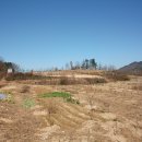 옥천농장 이미지