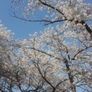 삼오모텔 이미지