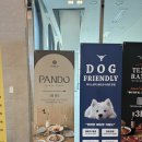 판도 | 동탄 청모 맛집 판도PANDO 내돈내산 후기