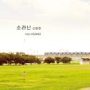소라닌 이미지