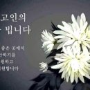 해뜰날 이미지