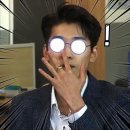 서울애견 미용실 이미지