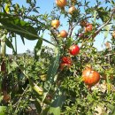 약천경로당 이미지