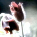 다음세상