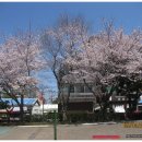 제38호어린이공원 이미지