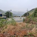 영산산림 이미지