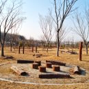 비비정 상생 도시숲 이미지