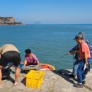 바위솔민박 이미지