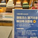 베스트올 가능점 | 침구 매트리스로는 짱 편한 매트 베스트슬립 추천 (광명베스트슬립쇼룸방문 후기)