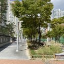 금오초등학교옆공원 이미지