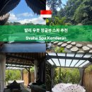 하나스파 | 발리 우붓 마사지 추천 l Svaha Spa Kenderan 가격 & 뜨갈랄랑 정글뷰 스파 후기