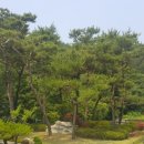 가야조경 이미지