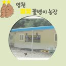 영천별빛굼벵이농장 이미지