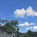 혜리네민박 이미지