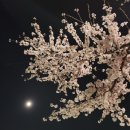 여수공업고등학교 | Yeosu 여행🌙