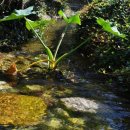 산너머남촌에는 이미지