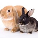 수열농장 이미지