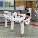 백석 더 혼 태권도 이미지