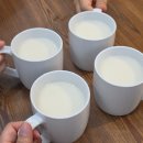 공이공팔머리나라 | [몽골 3박 4일 투어] 1일 차 NPC로 살았던 썰 그리고 게르에서의 첫날밤