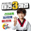 용인대삼성태권도 이미지